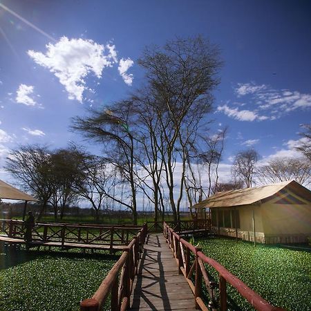 Hôtel Kiboko Luxury Camp à Naivasha Extérieur photo